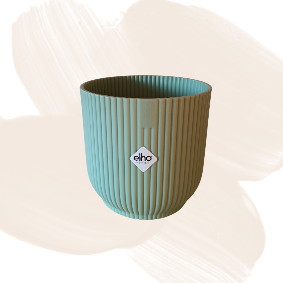 Vaso Elho diametro 10cm v. Verde 