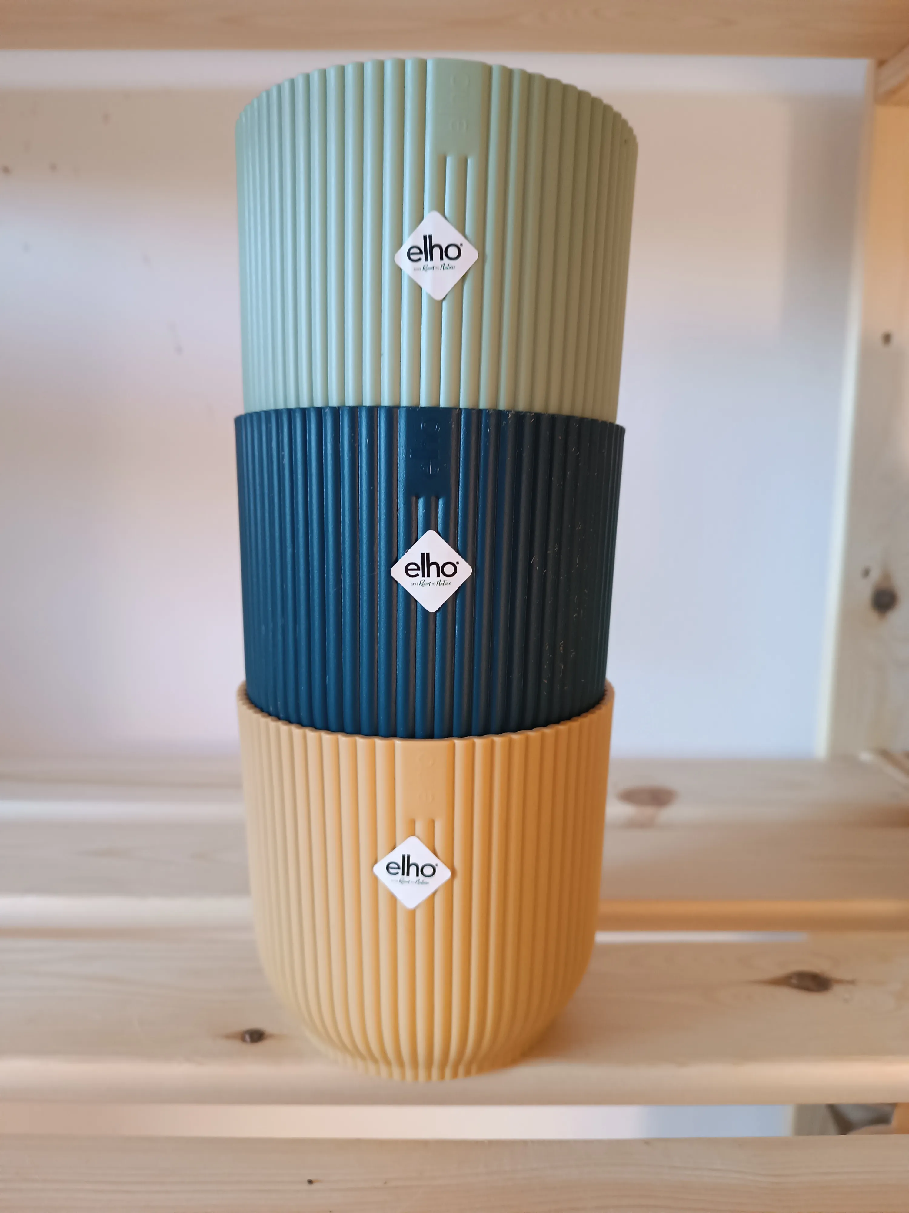 Vaso Elho diametro 10cm v. Verde 