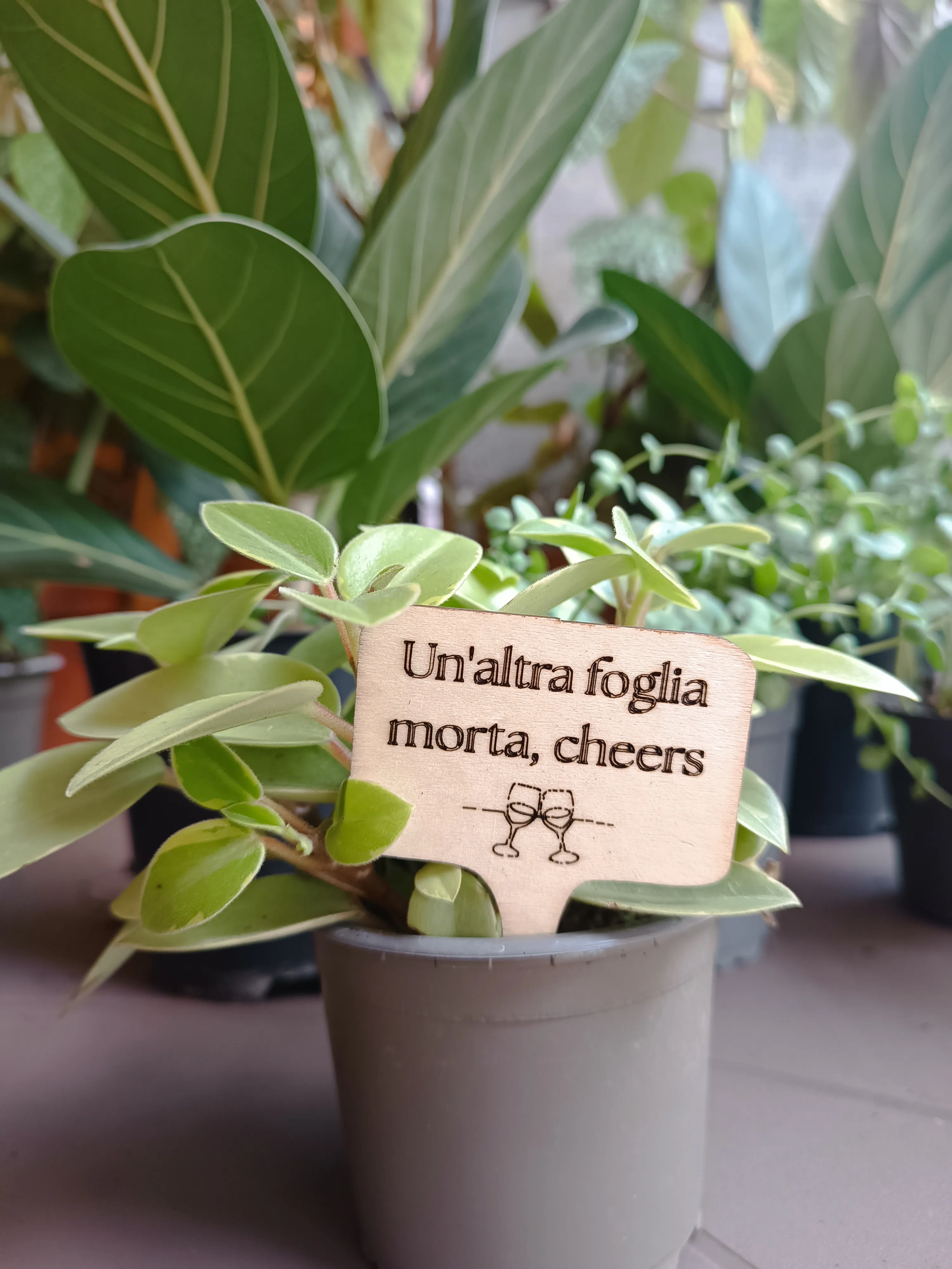 PlanTag "Un'altra foglia morta cheers"