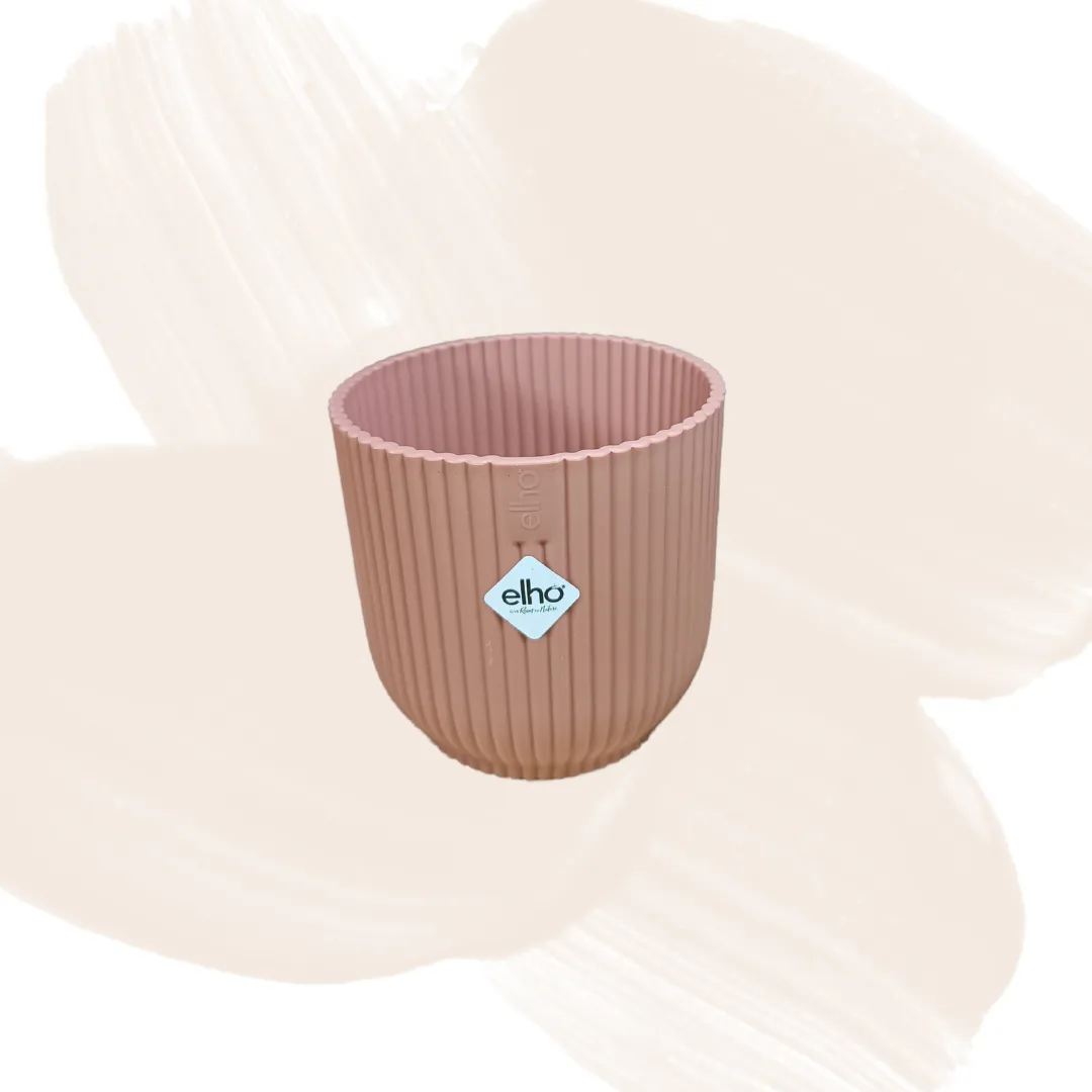 Vaso Elho diametro 6 cm v. Rosa