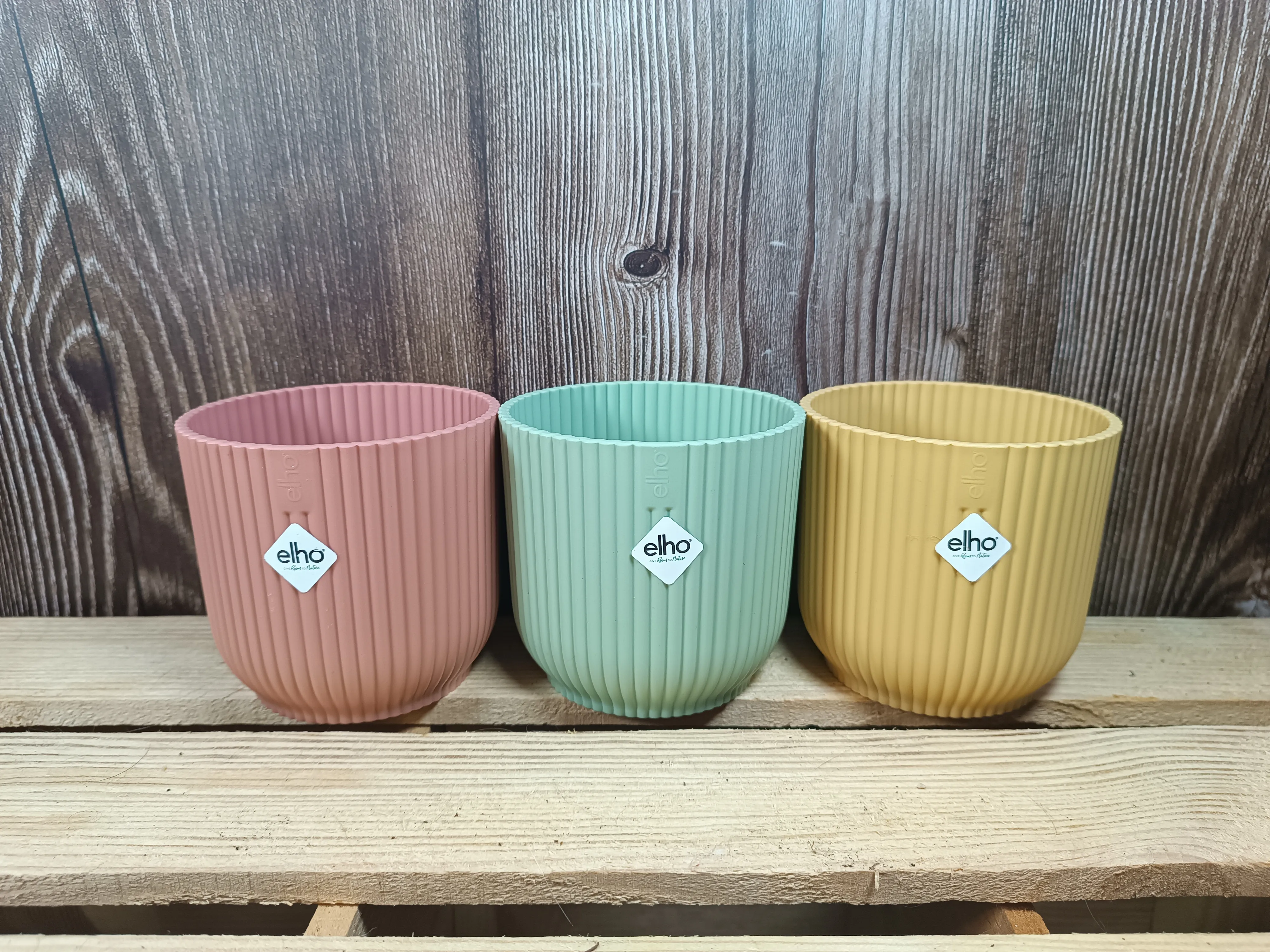Vaso Elho diametro 6 cm v. Rosa