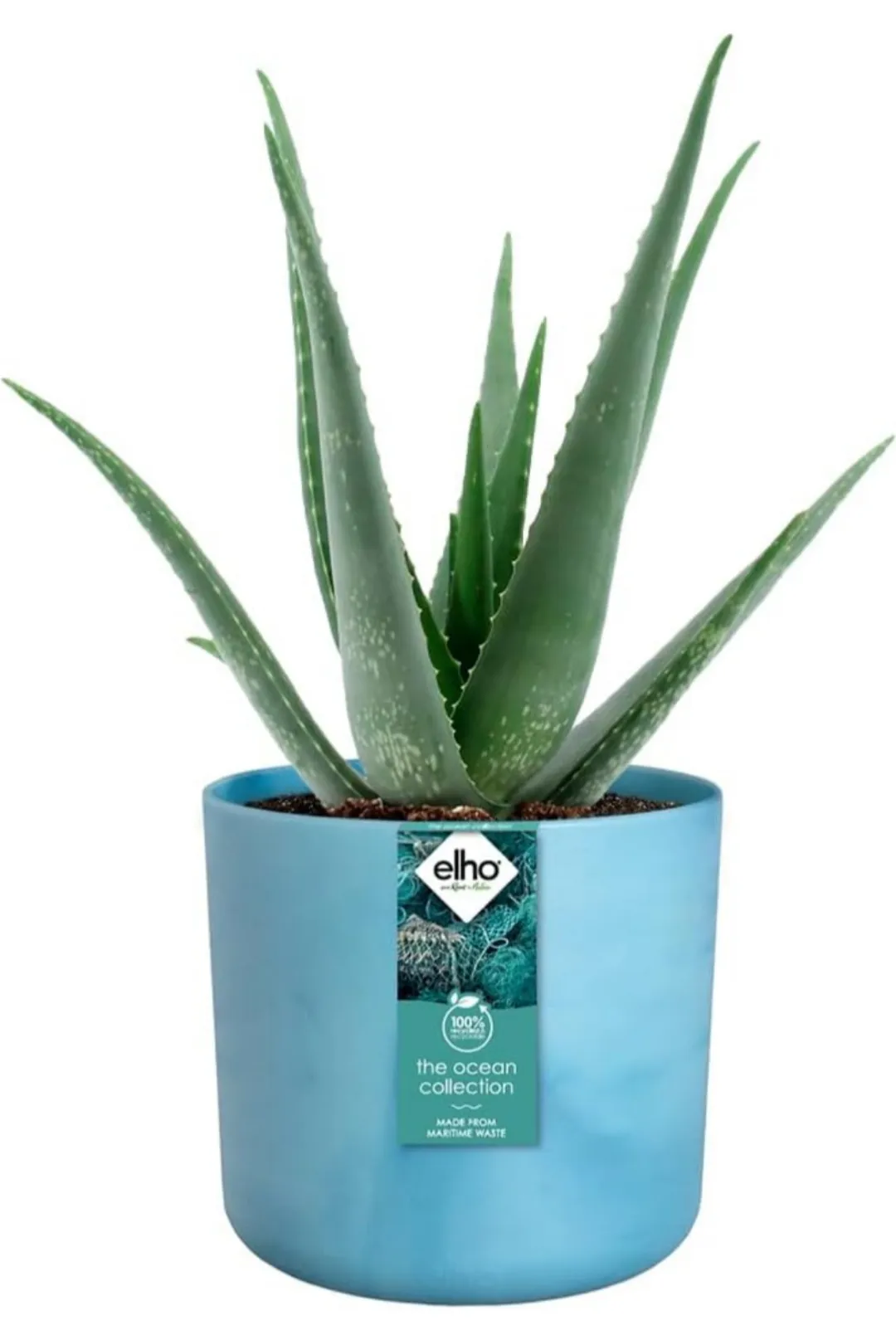 Vaso Elho diametro 16cm collezione Oceano