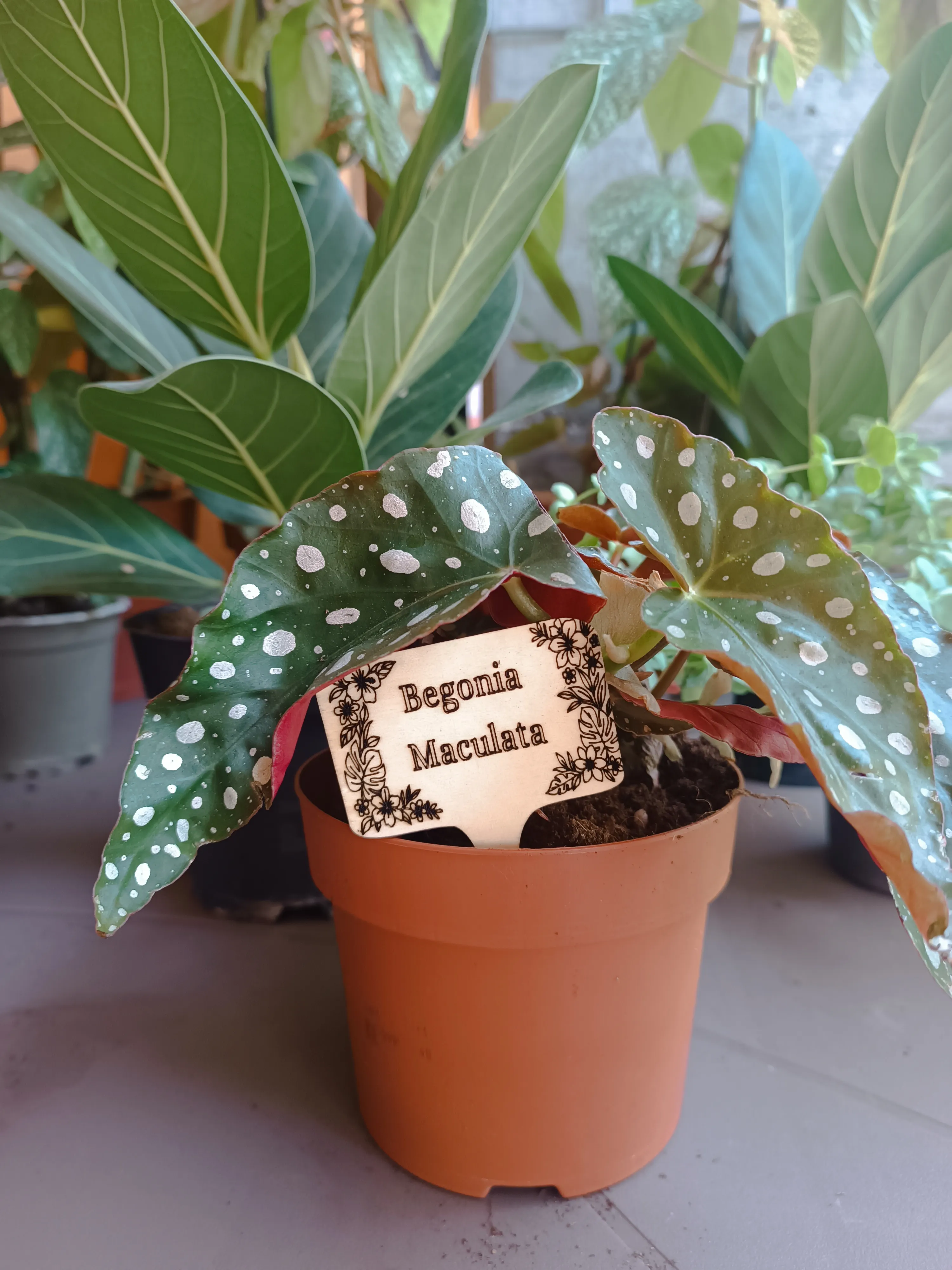 PlanTag PERSONALIZZATO 