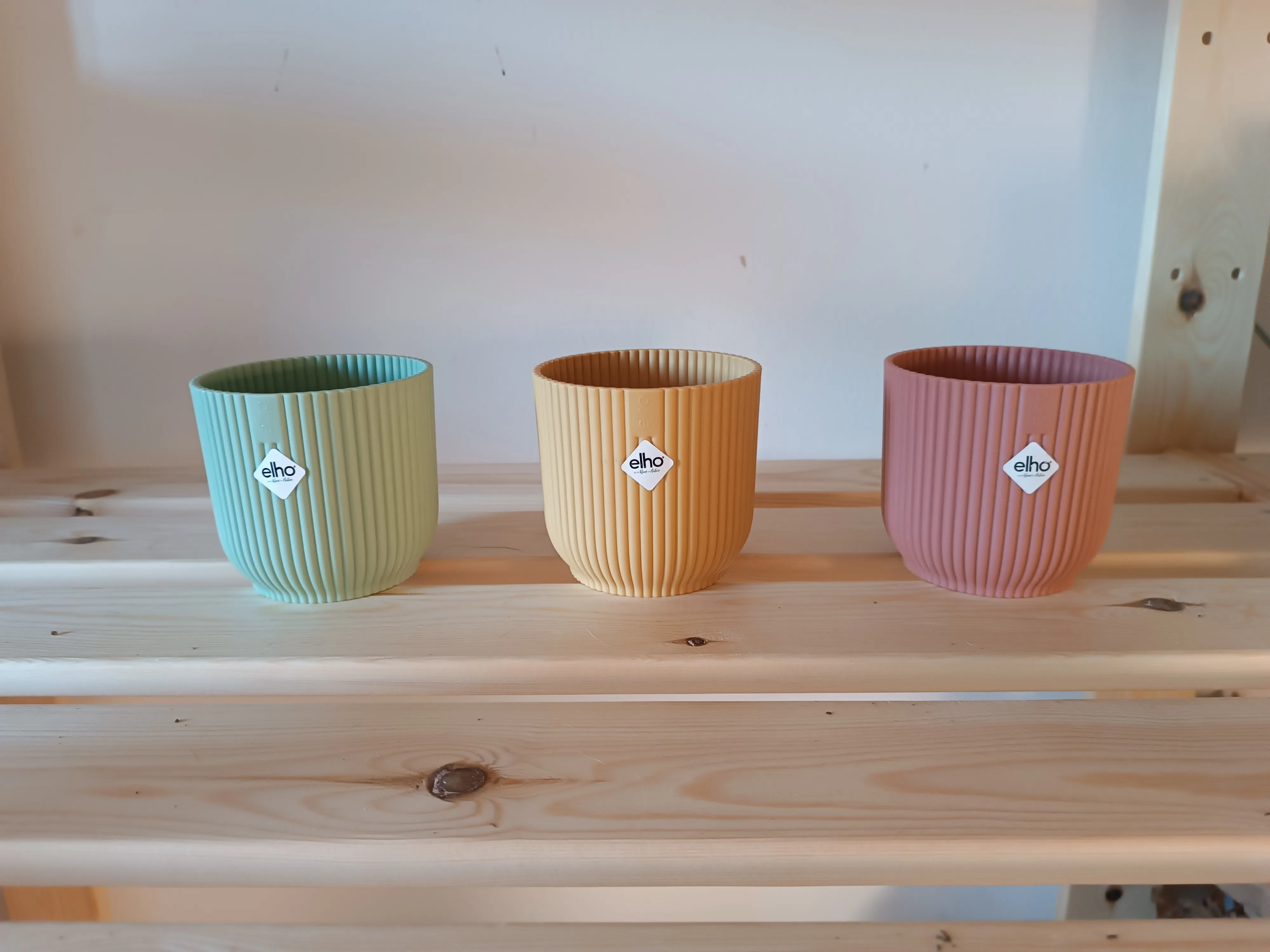 Vaso Elho diametro 6 cm v. Rosa