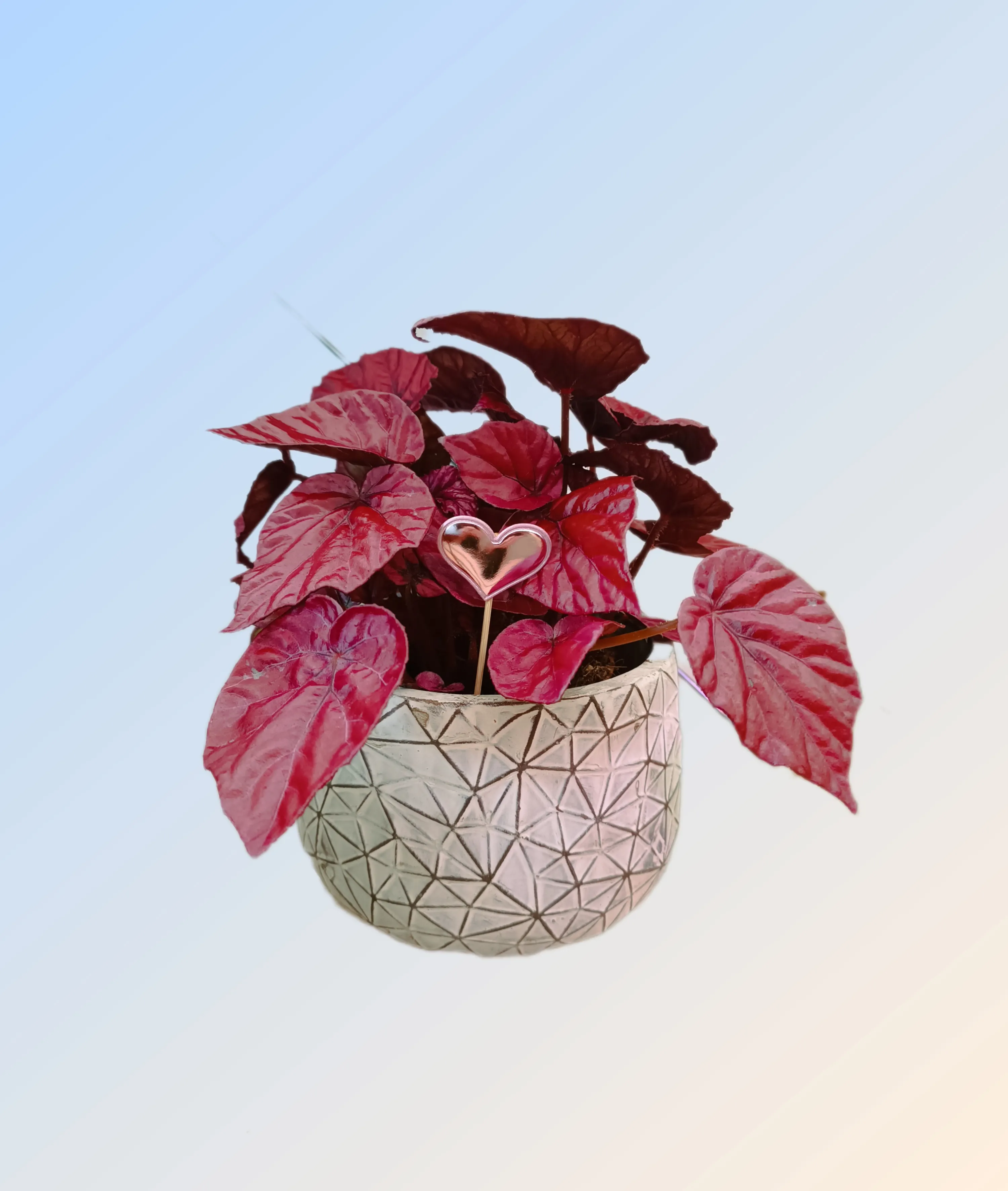 Vaso 18cm Triangoli